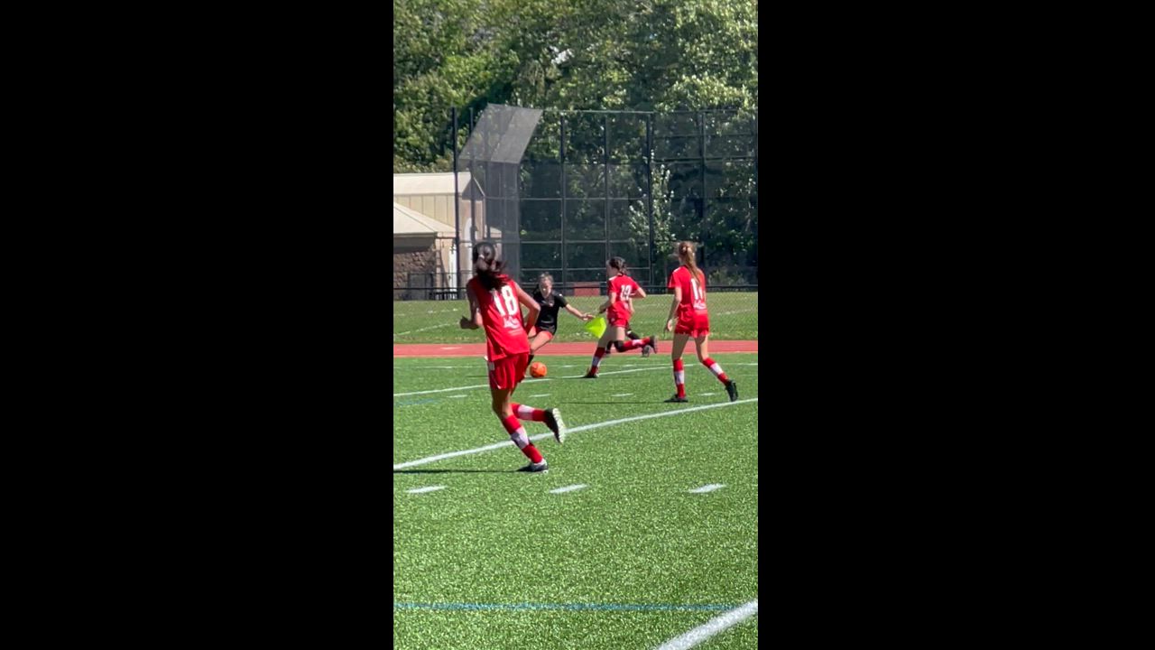 Western united pioneers